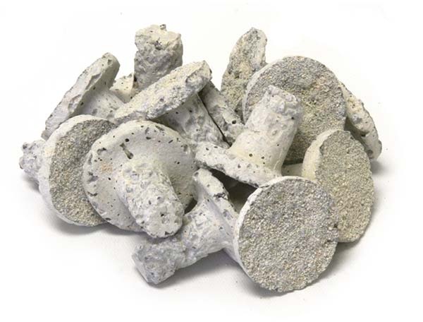 Boston Aqua Farms Reef Plugs