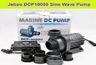 DCP10000